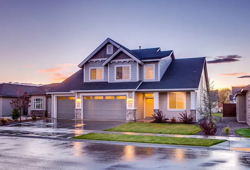 What does mold remediation mean